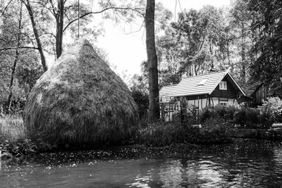 Spreewald